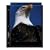 Print File Archival Photo Pages Holds Two 8" x 10" Prints, with Black Background Pack of 25