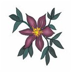 Purple Flower Temporary Tattoo 2x2