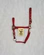 Hamilton Deluxe 3/4" Arabian Nylon Horse Halter with Adjustable Chin and Snap, Red, Small/Cob (500-1100 lbs)