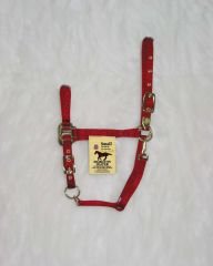 Hamilton Deluxe 3/4" Arabian Nylon Horse Halter with Adjustable Chin and Snap, Red, Small/Cob (500-1100 lbs)