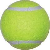 Economy Practice Balls