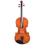 Model 330 Viola 16