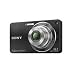 Sony DSC-W350 14.1MP Digital Camera with 4x Wide Angle Zoom with Optical Steady Shot Image Stabilization and 2.7 inch LCD (Black)
