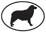 Border Collie Sticker (Black/White, 5' x 3.5' )