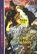 Das Schwert der Wahrheit 9. Die Burg der Zauberer