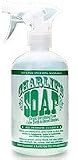 Charlie's Soap All Purpose Pre-Spray