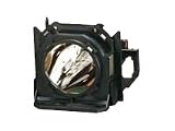 Panasonic ET LAD10000 - Projector lamp