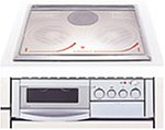 TOSHIBA ビルトインIHクッキングヒーター シルバー BHP-M46PS20/BHP-M46PS20