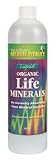 Natural Life Minerals - 16 oz - Liquid
