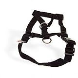 Pet Supplies : Coastal Halti Headcollar in Size 3