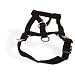 Coastal Halti Headcollar in Size 3