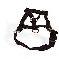 Childrens Toyshop  Pet Supplies : Coastal Halti Headcollar in Size 3