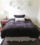College Plush Comforter - Chocolate