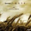 Eigenschaften Berliner Symphoniker  / Ince Saz 5 Elif - Solist Cengiz Özkan