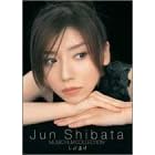 JUN SHIBATA MUSIC FILM COLLECTION ���ΒЂ� [DVD]