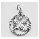 Capricorn Charm
