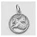 Capricorn Charm