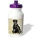 Dogs Labrador Retriever - Labrador Retriever - Water Bottles