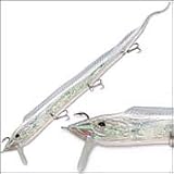 Live Ribbonfish 18