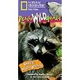 National Geographic: Real Wild Animals Amazing North America... by 