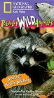 National Geographic: Real Wild Animals Amazing North America by Sony Pictures