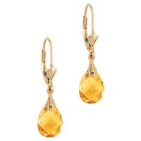 10kt. Yellow Gold, Citrine Briolette Earrings