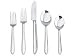 Kitchen & Housewares : J.A. Henckels Premiere Series Danube 45-Piece Flatware Set Plus Hostess Set, Service for 8