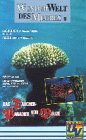 Wunderwelt des Meeres 8 - Das Taucherparadies von Belize