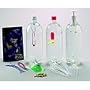 Squidy Cartesian Diver, Peg Box
