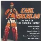 Soul Of Kung Fu Fighter