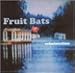 Need It Just a Little lyrics Fruit Bats