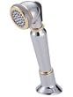 Danze D491110CPBV Traditional Style Hand Shower Chrome with Polished Brass