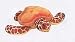 Plush Orange Sea Turtle 14