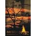 Gute B�cher zum Thema Magie, Kr�uter und Wicca