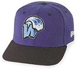 Minor League Baseball Cap - Wilmington Waves Home Cap by New Era