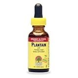 Plantain Leaf Extract - 1 oz,(Nature s Answer)