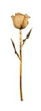Valentine's Day Ivory Gold Dipped Rose