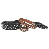 Weaver Spike's Doubled and Stitched Leather Collar - 1