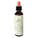 Bach Original Flower Essences, Pine - 20 ml, Pack of 8