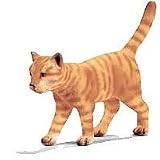 Review Schleich  / Walking Toy Cat, 2.79