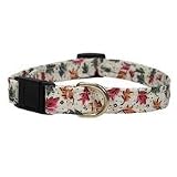 Cat Collar Fall Color