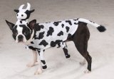Pet Costume Udderly Adorable X-Large