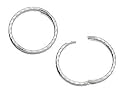 Hinged Hoop Earrings
