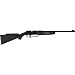 Daisy Mfg. 880 Air Pump-Up Rifle