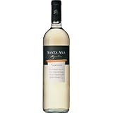 トロンテス / サンタ アナ 750ML