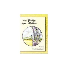 Une fl�che, deux illusions