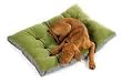 Bowsers Rainforest Eco Futon Polar Fleece Medium Dog Bed
