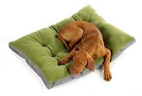 Bowsers Rainforest Eco Futon Polar Fleece Large Dog Bed