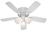Hunter 21880 Low Profile 42-Inch 5-Blade 3-Light Ceiling Fan, White with Bleached Oak/White Blades and Frosted Glass Shades
