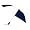Navy/White